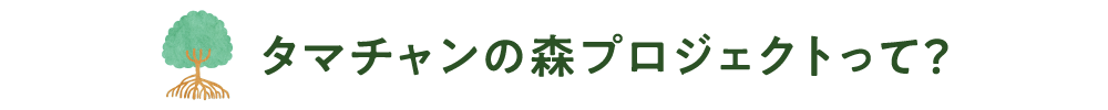 タマチャンの森プロジェクトって？