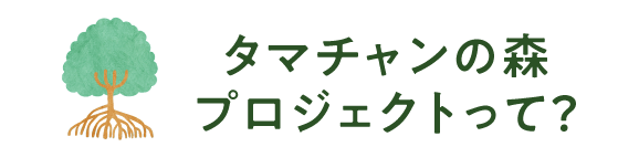 タマチャンの森プロジェクトって？