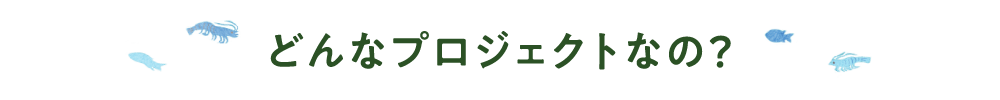 どんなプロジェクトなの？