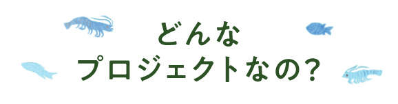 どんなプロジェクトなの？