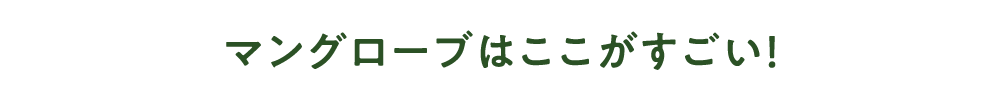 マングローブはここがすごい！