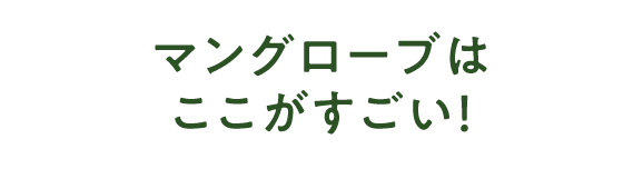 マングローブはここがすごい！