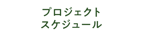 プロジェクトスケジュール