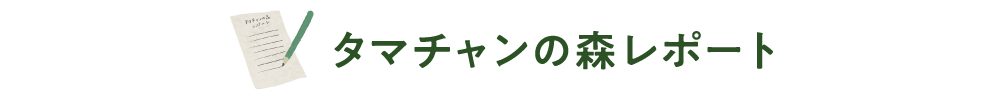 タマチャンの森レポート